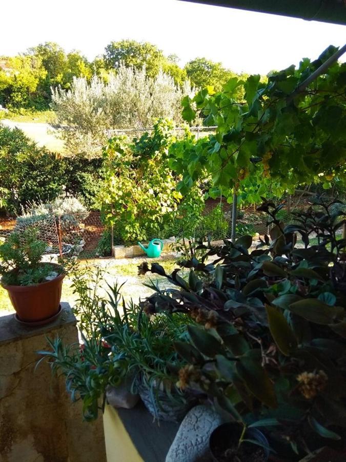 Apartman Garma Rovinj Zewnętrze zdjęcie